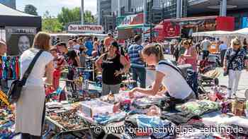 Im August ist der letzte Flohmarkt 2022 im Allerpark Wolfsburg