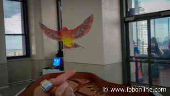 Experience a Dawn Chorus at New York's Rockefeller Centre with Augmented Reality Musical Installation | LBBOnline - Little Black Book - LBBonline