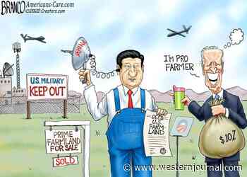 Foreign and Domestic
