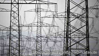 Deutscher Strommarkt: „Die Energieversorger verdienen sich dumm und dämlich“