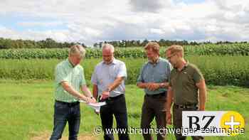 Landwirte schaffen Lebensräume für Feldlerche und Co.
