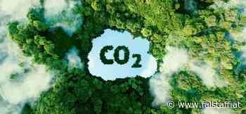 Killen Fleischesser unser Klima?