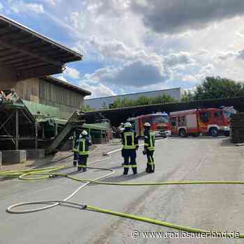 Mitarbeiter löschen Brand in Sägewerk in Olsberg - Radio Sauerland