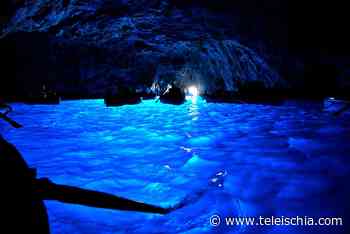 CAPRI. PASSI IN AVANTI VERSO L'ISTITUZIONE DELL'AREA MARINA PROTETTA - TeleIschia