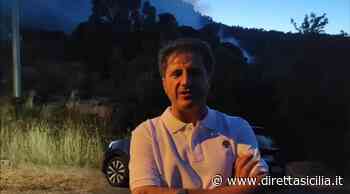Paura a Piana degli Albanesi e Monreale, incendi devastano il territorio - Diretta Sicilia