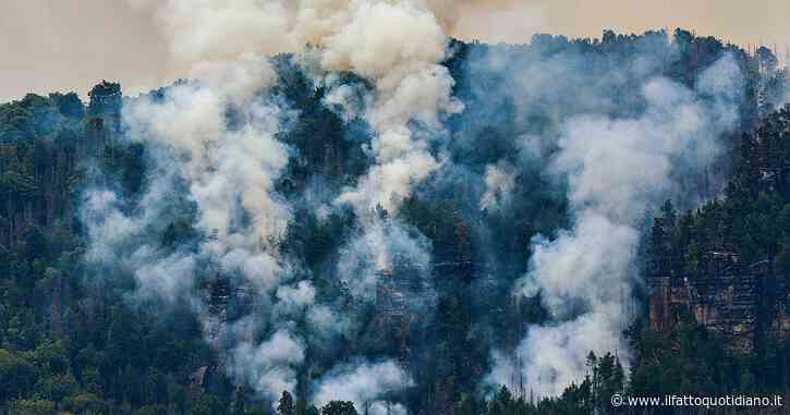 Bruciano i boschi della Germania: la difficoltà a spegnere le fiamme per mancanza d’acqua e vegetazione secca