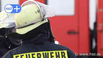 Hemmingen: Feuerwehr rettet Pferd aus Alter Leine in Wilkenburg - HAZ