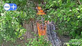 Hemmingen: In Hiddestorf brennt ein Baumstumpf - Feuerwehr im Einsatz - HAZ