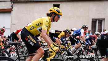 Vos tevreden met geel en groen in haar bezit: 'Gravel is heel mooi als je voorin zit' - In de Leiderstrui