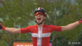 Ludwig wint derde etappe Tour, Vos behoudt het geel - NOS