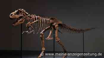 Gorgosaurus-Skelett für sechs Millionen Dollar versteigert