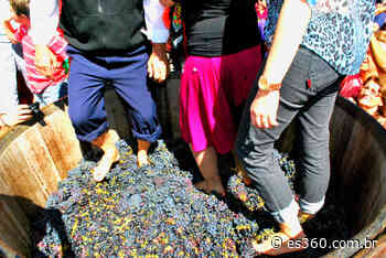 Festa da Uva e do Vinho vai agitar Santa Teresa em agosto - ES360