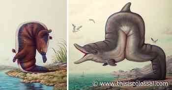 Bizarrely Flexible Wildlife Twist into Acrobatic Poses in Bruno Pontiroli's Perspective-Bending Paintings - Colossal