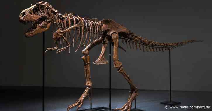 Gorgosaurus-Skelett für sechs Millionen Dollar versteigert