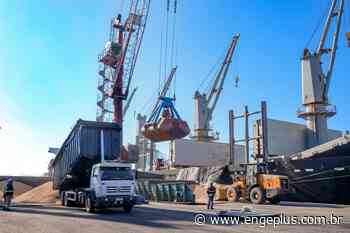 Nova carga: Porto de Imbituba realiza exportação de pellets de madeira - Engeplus