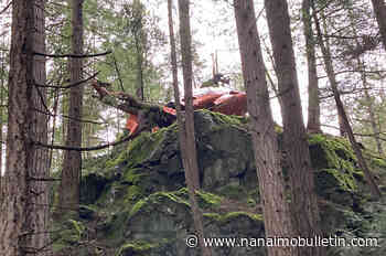 Helicopter crash on Bowen Island that left 2 injured was caused by ‘wind shear’: TSB