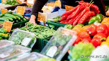 Foodsharing, Gemüseboxen und Gärtnern: So sparst Du beim Einkaufen in MV – und tust etwas fürs Klima - svz – Schweriner Volkszeitung