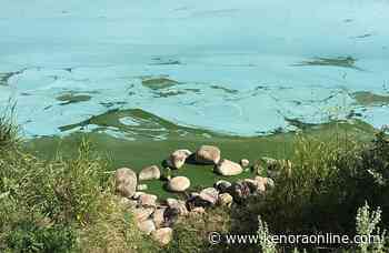 NWHU warns of suspected blue-green algae near Sioux Lookout - KenoraOnline.com
