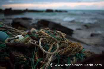 B.C. funds new coastal cleanup projects to remove ocean plastic, derelict vessels