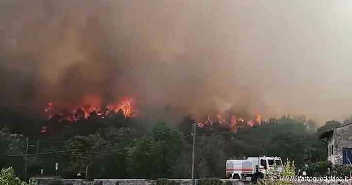 Incendi, ancora fuoco sul Carso: fiamme vicino alle abitazioni. Sindaco Gorizia:” Roghi dolosi”