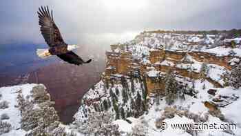 Best online colleges in Arizona 2022