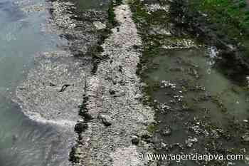 Siccità: a Roma sorgenti ridotte dal 30 al 50 per cento, il rischio è un razionamento dell’acqua - Agenzia Nova