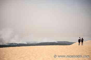 Après les incendies en Gironde, trois départements veulent des "états généraux" de la forêt des Landes de Gascogne