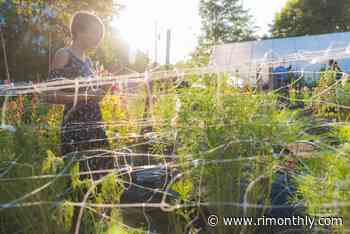 Wander Through 2,500 Dahlias at the What Cheer Flower Festival - Rhode Island Monthly