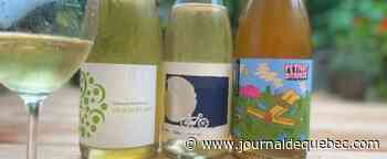 Trois bulles d’ici