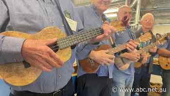 Offcuts strike a chord at musical men’s shed as members build instruments and write own songs