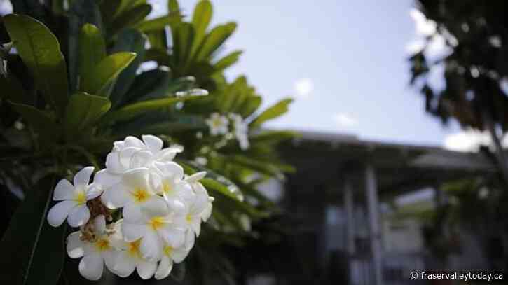 Defense contractor held without bail in ID theft mystery