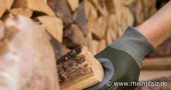 Jetzt Brennholz beim Forst bestellen - Pirmasens - DIE RHEINPFALZ - Rheinpfalz.de