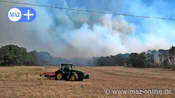 Forst steht in Flammen: 130 Einsatzkräfte bei Großeinsatz im Wald bei Gransee - Märkische Allgemeine Zeitung