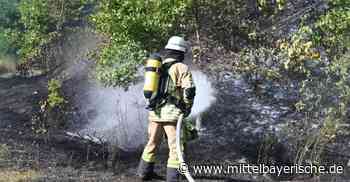 Brände im Schwaighauser Forst: Polizei vermutet Brandstiftung - Landkreis Regensburg - Nachrichten - Mittelbayerische Zeitung