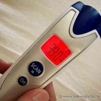 Erster Affenpockenfall im Kreis Soest - Hellweg Radio