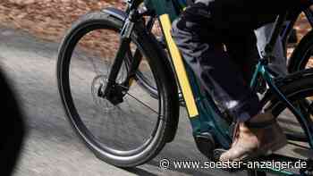 Kreis Soest: E-Bike-Diebe sind skrupellos - Tipps gegen Diebstahl - soester-anzeiger.de