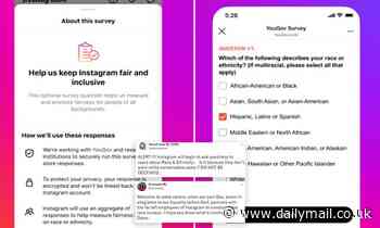 Users slam Instagram for asking them to specify their ethnicity