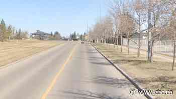 Pedestrian dies after being struck by car in northeast Calgary