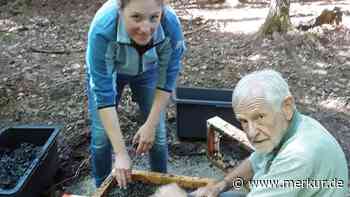 Mysteriöses Loch im Ebersberger Forst: Erste Erkenntnisse - Holzbalken sollen Geheimnis preisgeben - Merkur.de