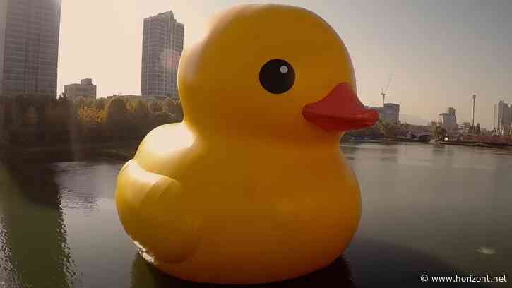 "Dein Marktplatz zum Glück": Hood.de attackiert Amazon mit Fairness-Versprechen und startet erste TV-Kampagne