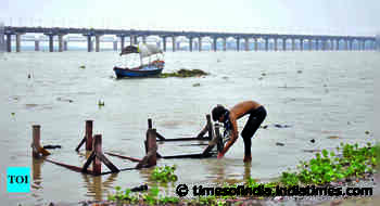 Twin rivers swelling in Prayagraj, locals shift to safer places - Times of India