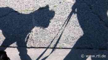 Alsfeld: Herzlose Aktion! Autofahrer überfährt Hund und flüchtet - RTL Online