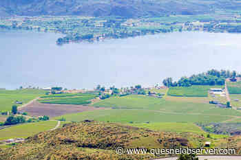 Man presumed drowned trying to rescue his dog on Osoyoos Lake - Quesnel - Cariboo Observer