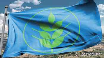 La Città di Bra premiata Comune “Spighe Verdi” 2022 - Il Corriere di Alba, Bra, Langhe e Roero