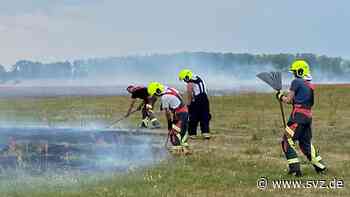 Feuerwehr im Einsatz: Großflächiger Feldbrand sorgt für Stau auf der Elbbrücke - svz – Schweriner Volkszeitung