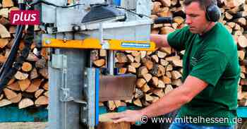 Limburg-Weilburg: Brennholz ist begehrt wie nie - Mittelhessen
