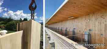 Brettsperrholz im landwirtschaftlichen Bauwesen - top agrar Österreich