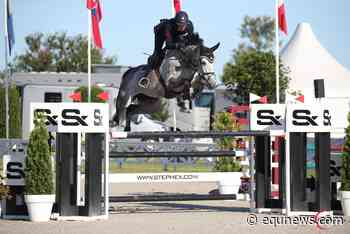New Talent for Scott Brash - Equnews International