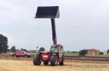 A fuoco dieci ettari di terreno | estense.com Ferrara - Estense.com