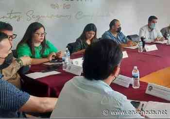 Buscan evitar perros ferales y callejeros en Isla de Cedros - Ensenada.net